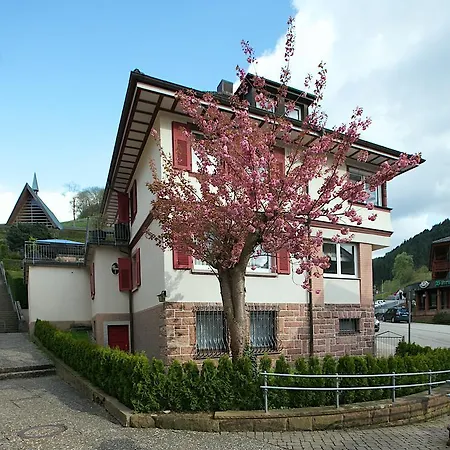 Gastehaus Anna-maria Πανσιόν Bad Peterstal-Griesbach